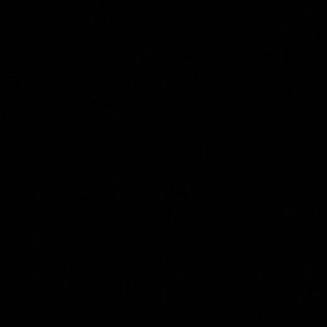 Meet your Posher, Castillo